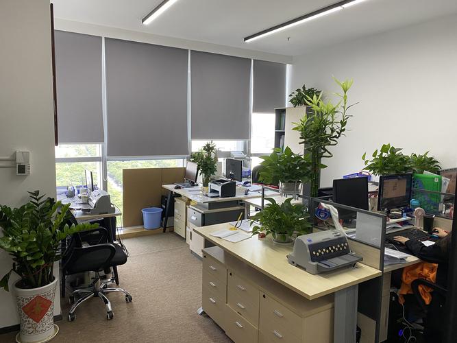 注冊(cè)電子商務(wù)公司流程及費(fèi)用(圖1) 注冊(cè)電子商務(wù)公司流程及費(fèi)用(圖1)